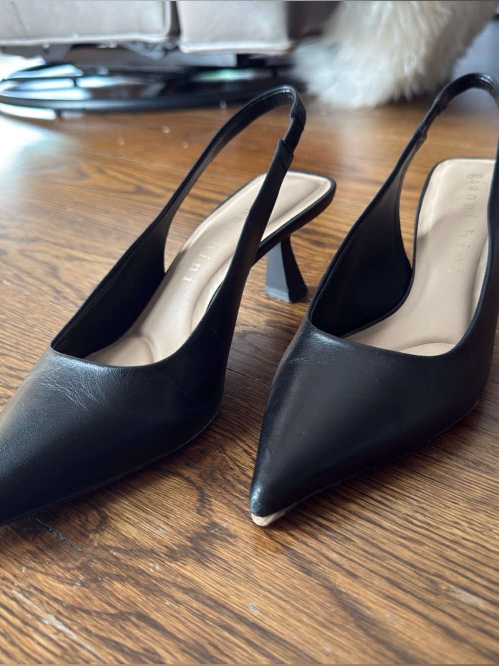 Gianni Bini Black Pointed Slingback Pumps